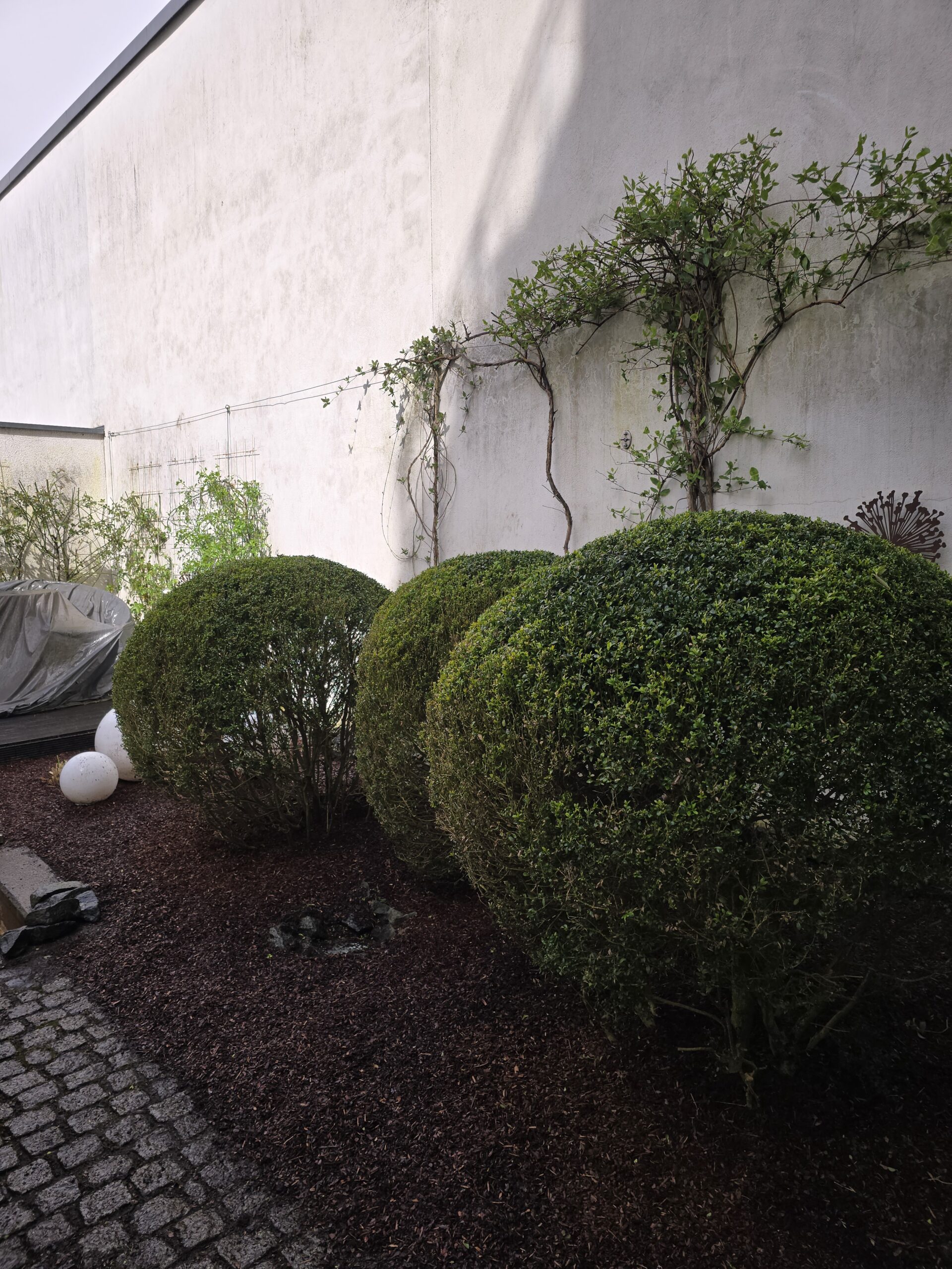 Gartenpflege