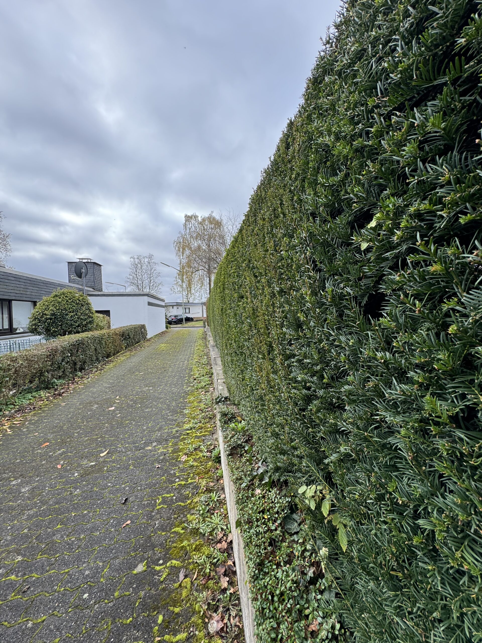 Abgeschlossene Gartenpflege – Projektfoto